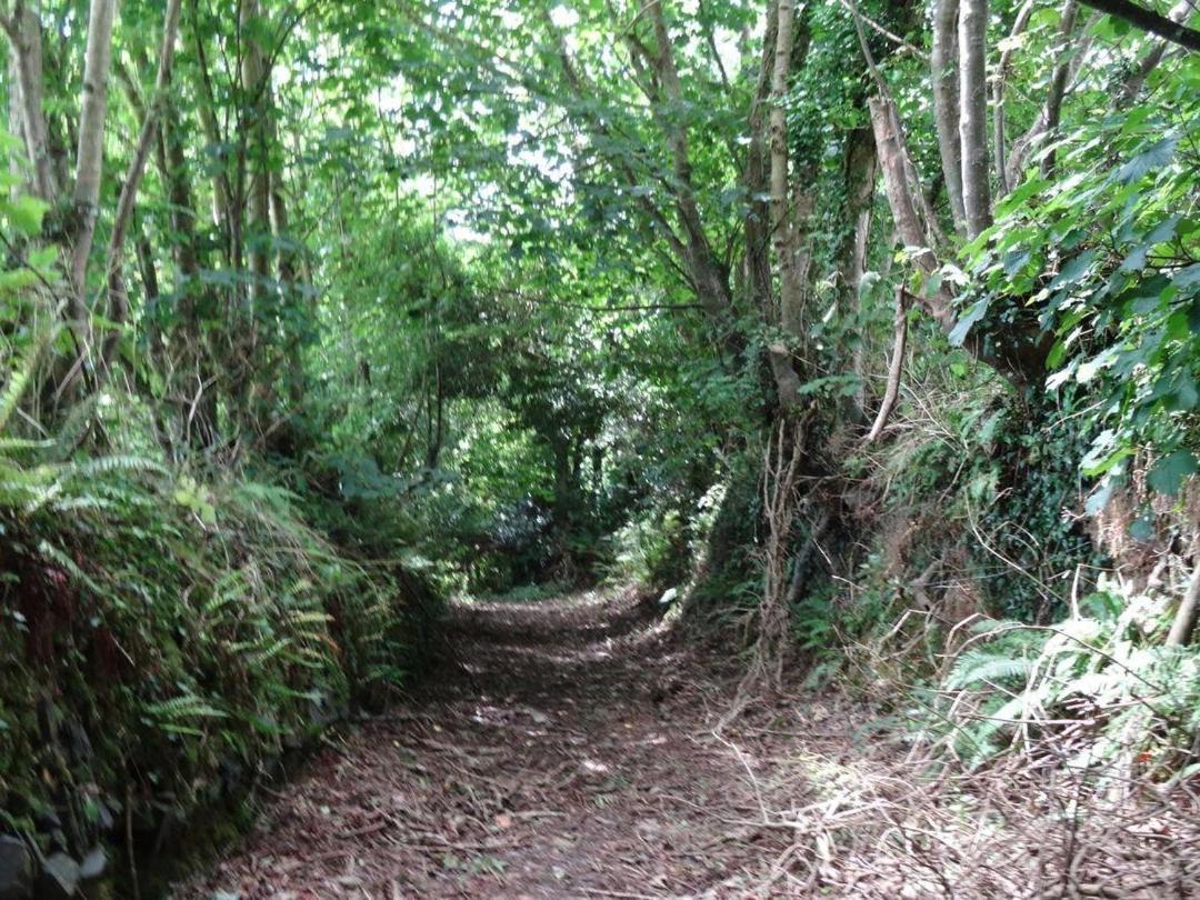 Badger Cottage Mawgan Exterior foto